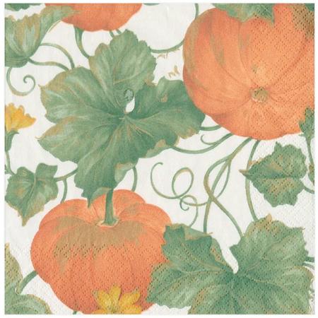 Paper Beverage Napkins Heirloom Pumpkins