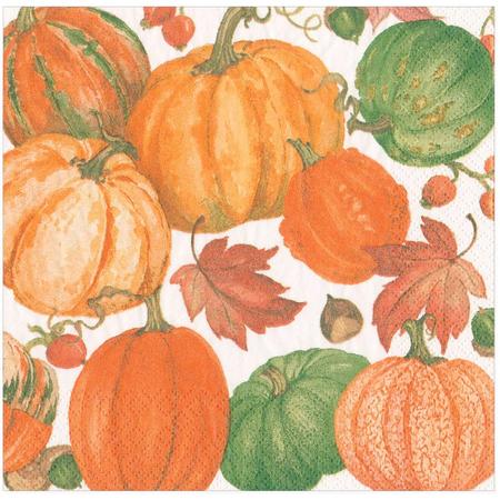 Paper Beverage Napkins Pumpkin Field