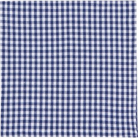 Blue Gingham Napkin