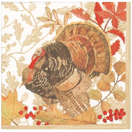 Paper Beverage Napkins Woodland Turkey