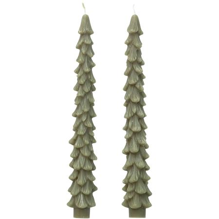 Large Tree Taper Candles Set/2 Evergreen