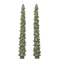 Large Tree Taper Candles Set/2 Evergreen