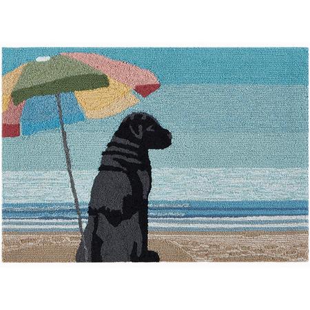 Front Porch Rug/Doormat Parasol & Pup