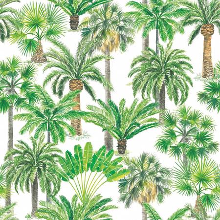 Paper Lunch Napkins Palm Oasis