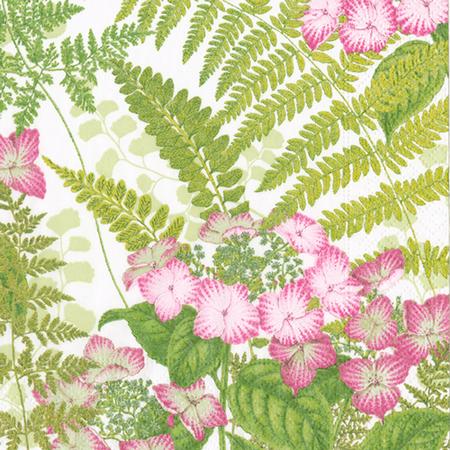 Paper Beverage Napkins Fern Garden