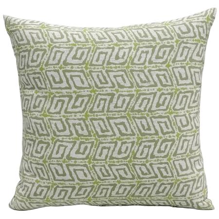 Kiwi Pillow 16