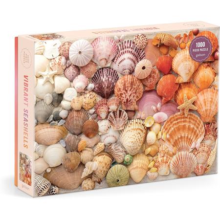 Vibrant Seashells Puzzle