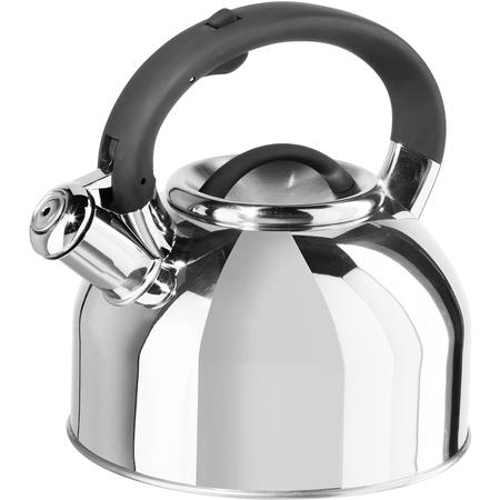 Oggi Stainless-Steel Kettle