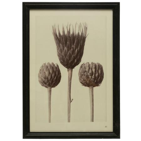 Artichokes In Bloom Print