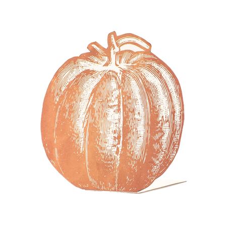 Pumpkin Place Cards Set/12