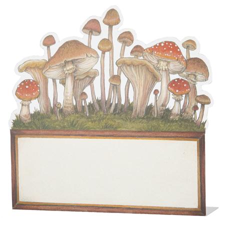 Mushroom Place Cards Set/12