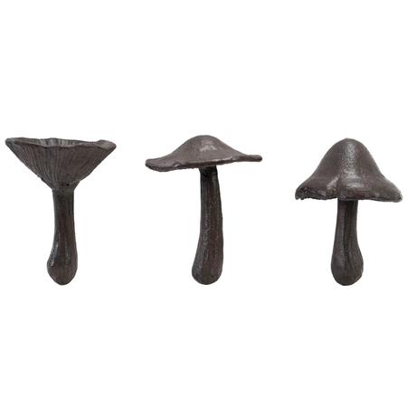 Cast-Iron Mushrooms