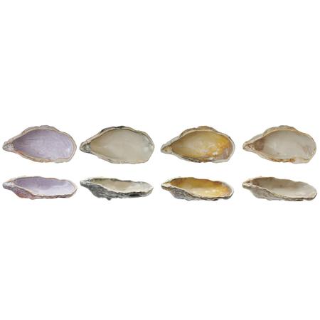 Oyster Individual Bowls