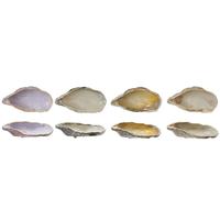 Oyster Individual Bowls