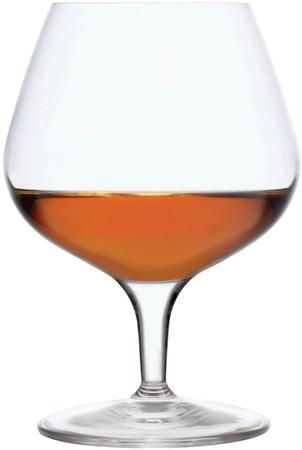 Michaelangelo Brandy Glass